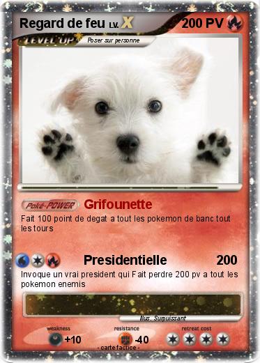Pokemon Regard de feu