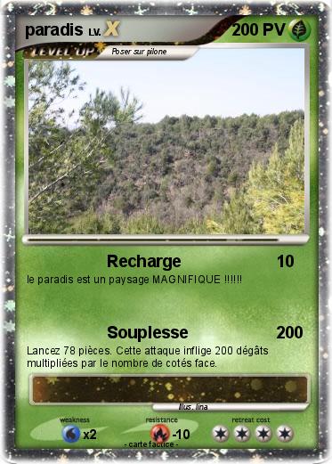 Pokemon paradis