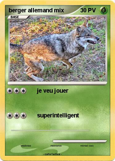 Pokemon berger allemand mix