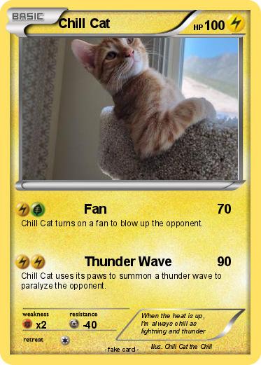 Pokemon Chill Cat