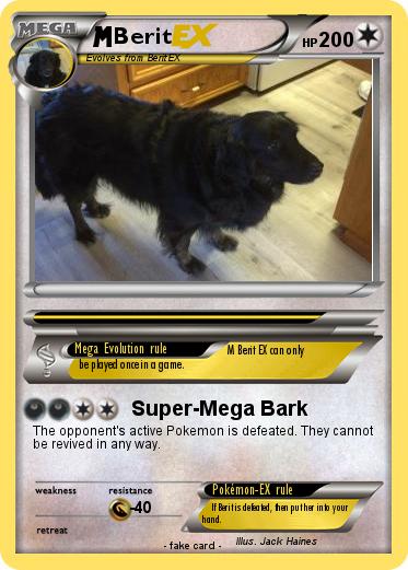 Pokemon Berit
