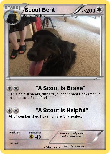 Pokemon Scout Berit