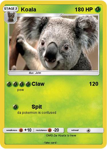 Pokemon Koala