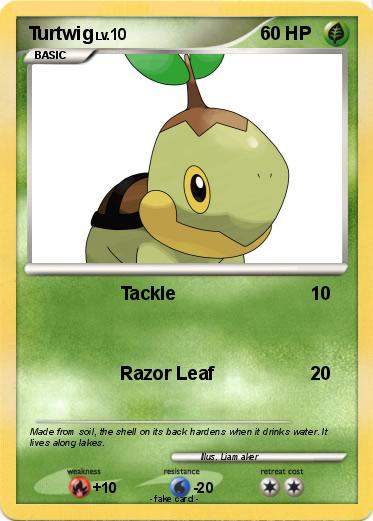 Pokemon Turtwig