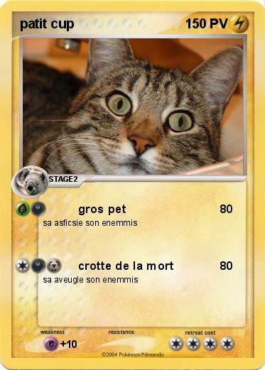 Pokemon patit cup