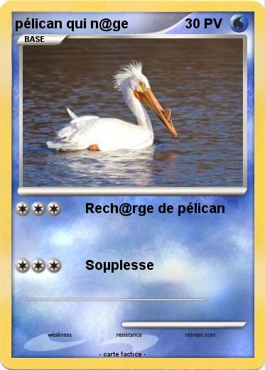 Pokemon pélican qui n@ge