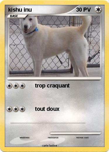Pokemon kishu inu