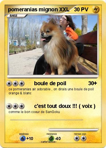 Pokemon pomeranias mignon XXL