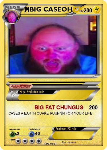Pokemon BIG CASEOH