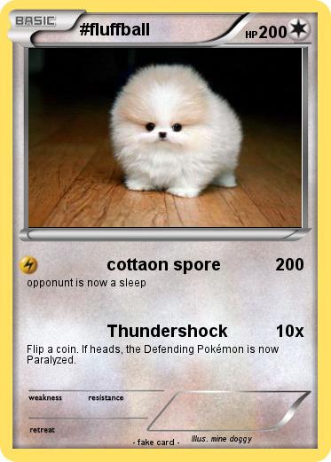 Pokemon #fluffball