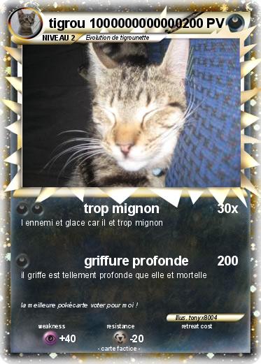 Pokemon tigrou 1000000000000