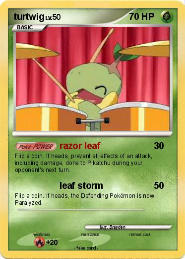 Pokemon turtwig