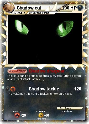 Pokemon Shadow cat