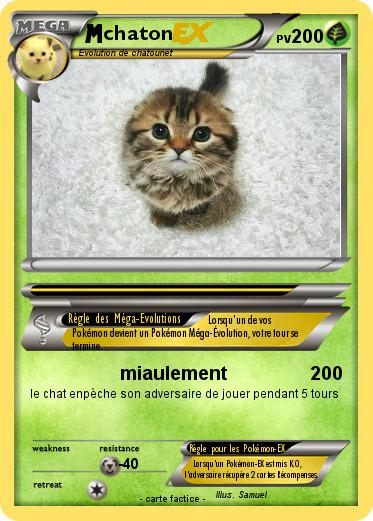 Pokemon chaton