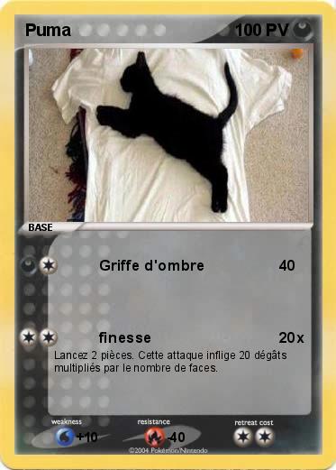Pokemon Puma
