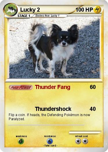Pokemon Lucky 2