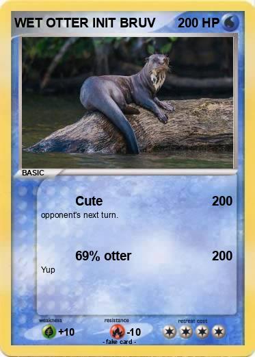 Pokemon WET OTTER INIT BRUV