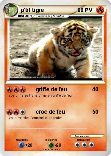 Pokemon p'tit tigre