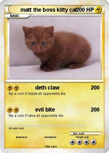 Pokemon matt the boss kitty cat