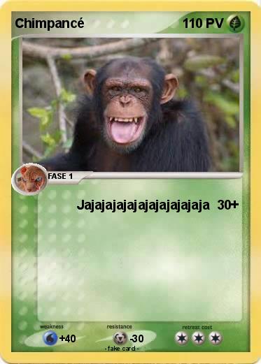 Pokemon Chimpancé