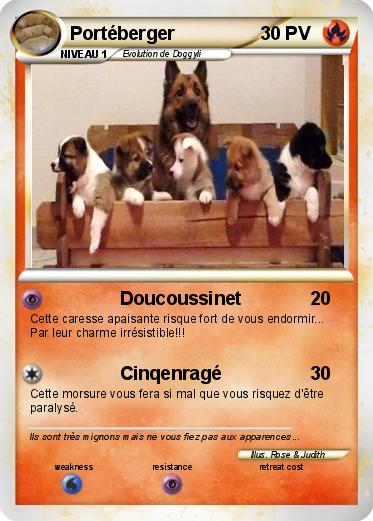 Pokemon Portéberger