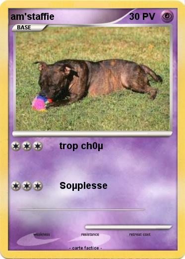 Pokemon am'staffie