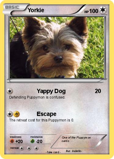 Pokemon Yorkie