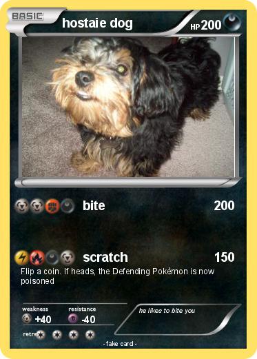 Pokemon hostaie dog