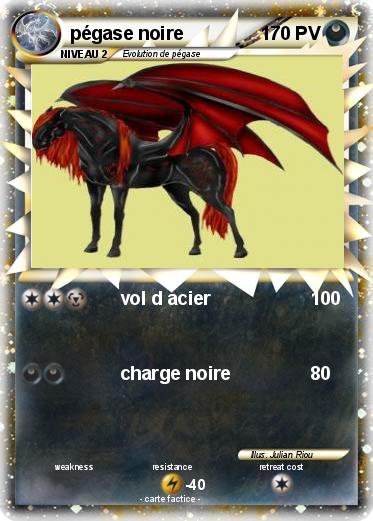 Pokemon pégase noire