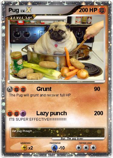 Pokemon Pug