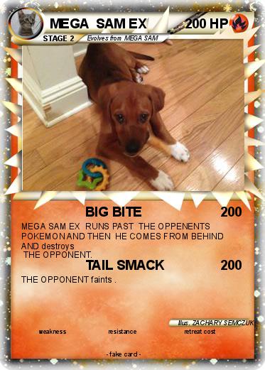 Pokemon MEGA  SAM EX