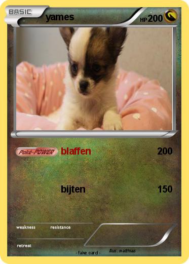 Pokemon yames