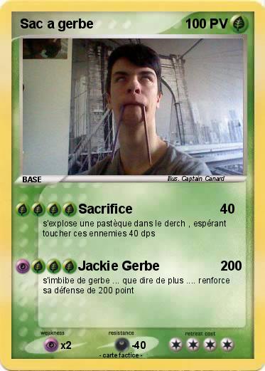 Pokemon Sac a gerbe