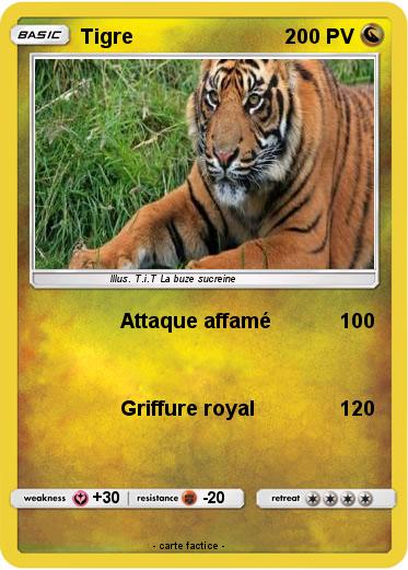 Pokemon Tigre