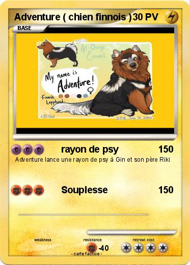 Pokemon Adventure ( chien finnois )
