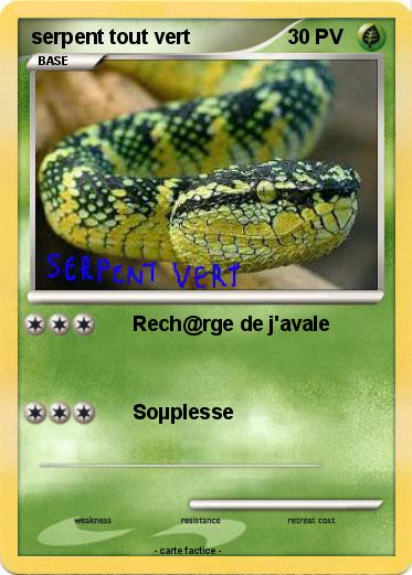 Pokemon serpent tout vert