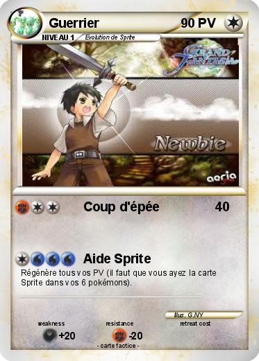 Pokemon Guerrier