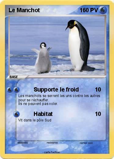 Pokemon Le Manchot