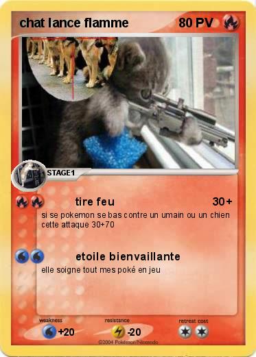 Pokemon chat lance flamme