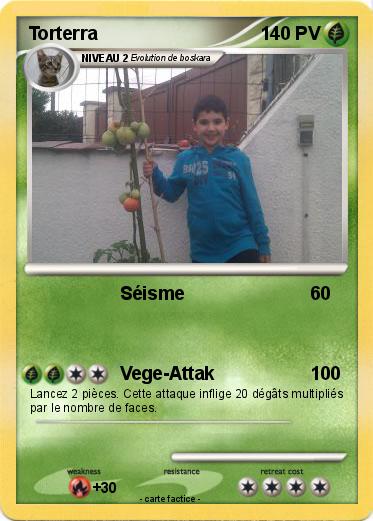 Pokemon Torterra