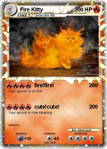 Pokemon Fire Kitty
