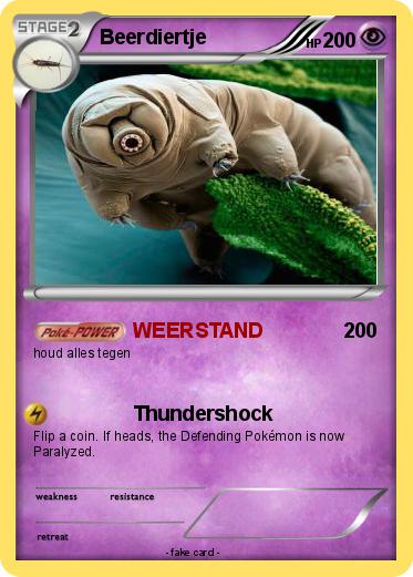 Pokemon Beerdiertje