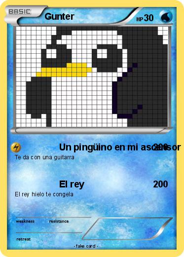 Pokemon Gunter