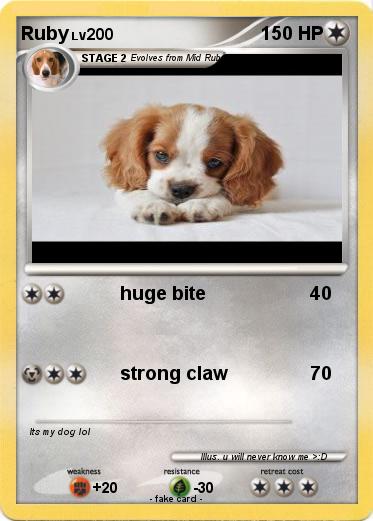 Pokemon Ruby