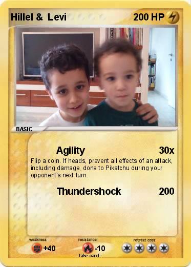 Pokemon Hillel &  Levi