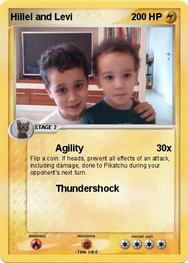Pokemon Hillel and Levi