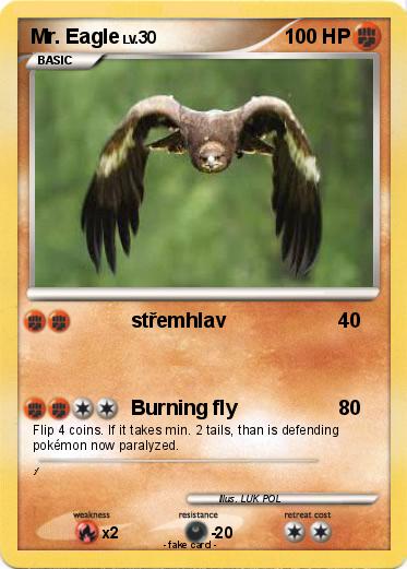Pokemon Mr. Eagle