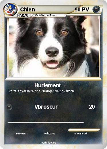 Pokemon Chien