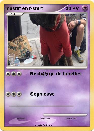 Pokemon mastiff en t-shirt
