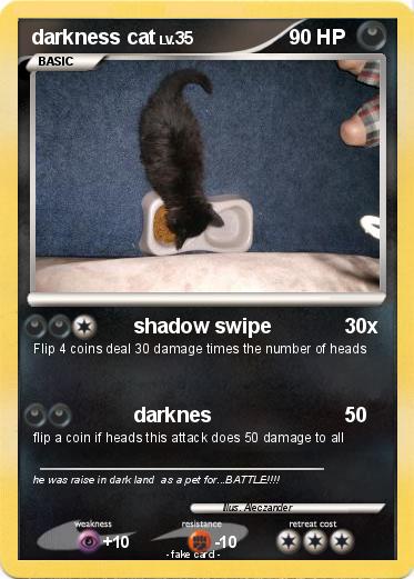 Pokemon darkness cat
